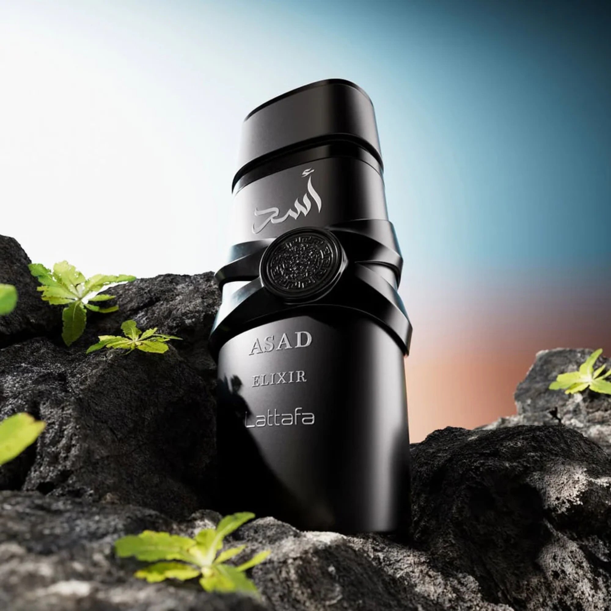 Lattafa Asad Elixir EDP 100ml | CAFFLEUR